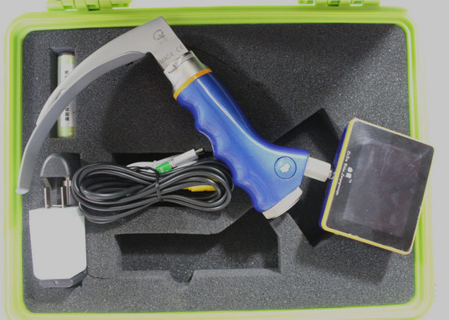 ������Ƶ����