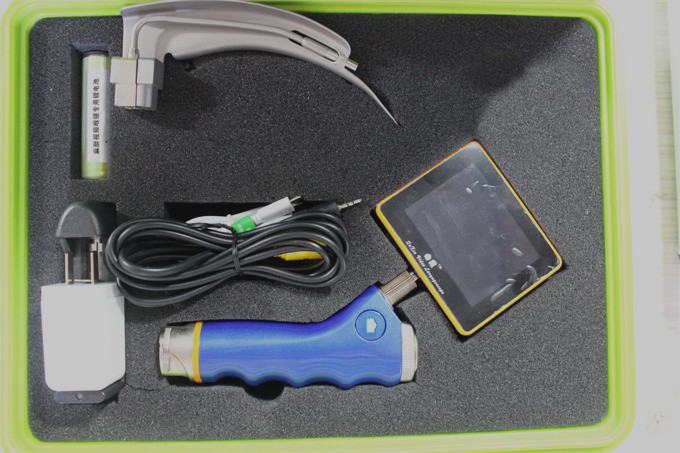 ������Ƶ����