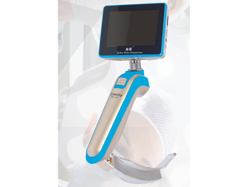 ������Ƶ����