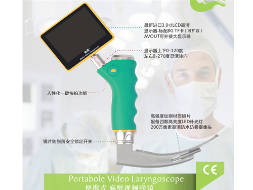 ������Ƶ����