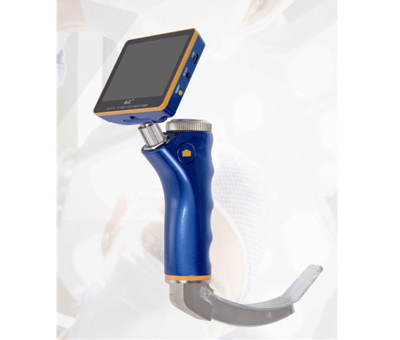 ������Ƶ����