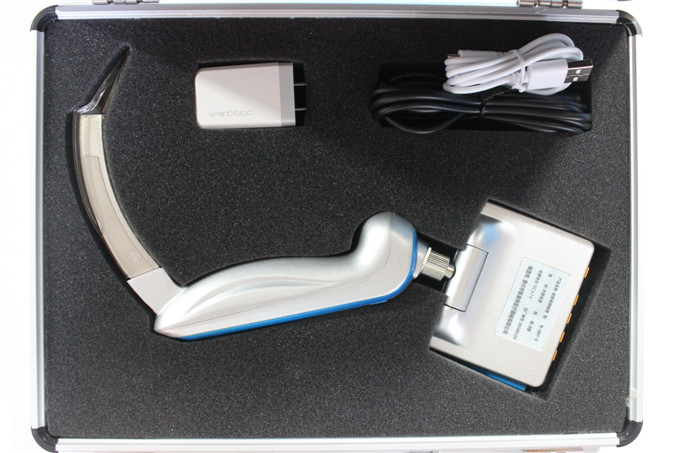 ������Ƶ����