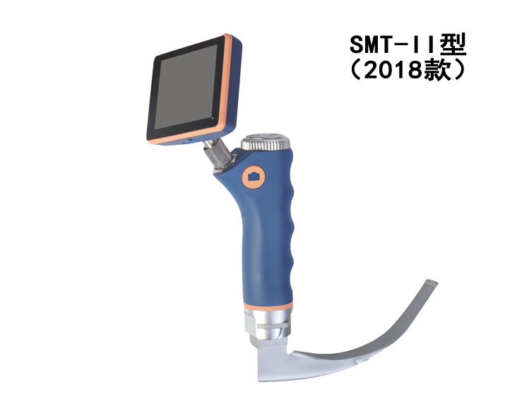 ������Ƶ����