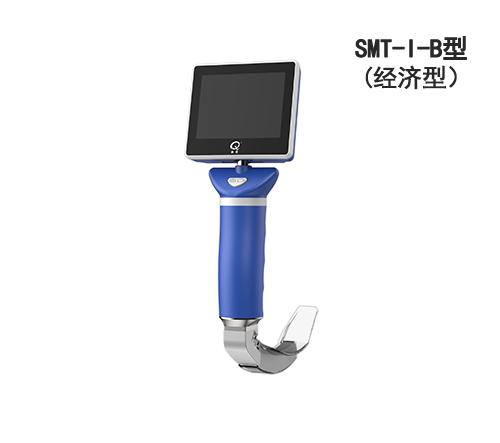 ������Ƶ����SMT-I-B������